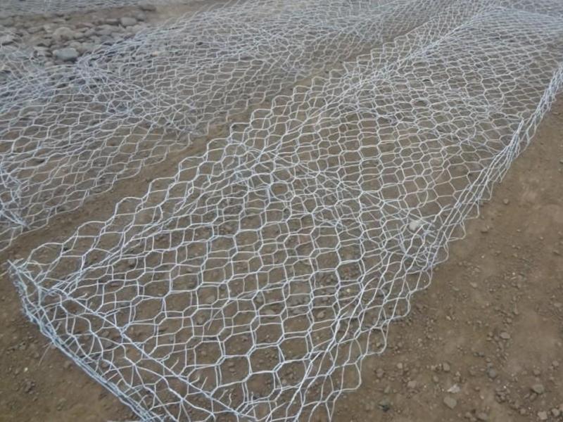 �U�z�W(w��ng)�\