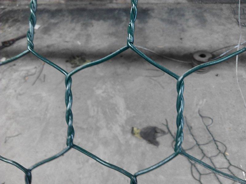 Ϳ�ܸ��e�W(w��ng)