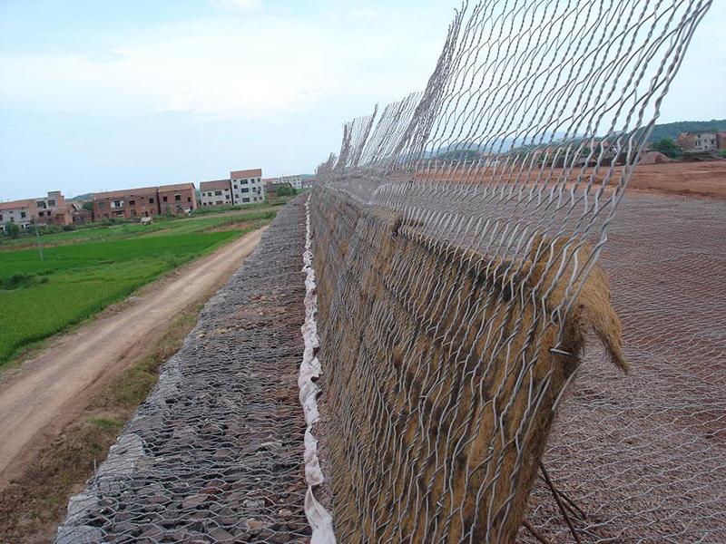 �o(h��)���U�z�\